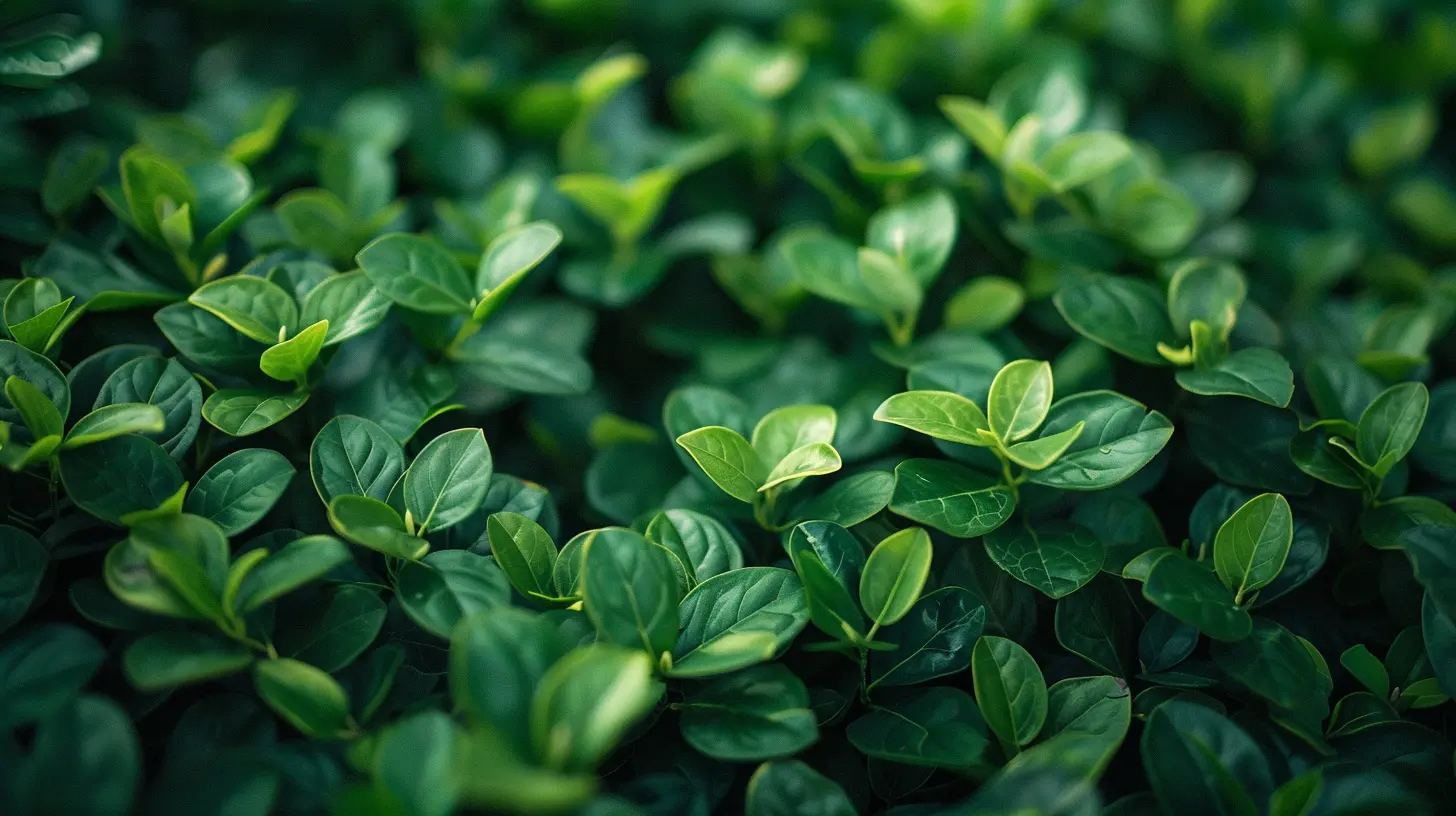Hedging Your Portfolio with Options and Futures