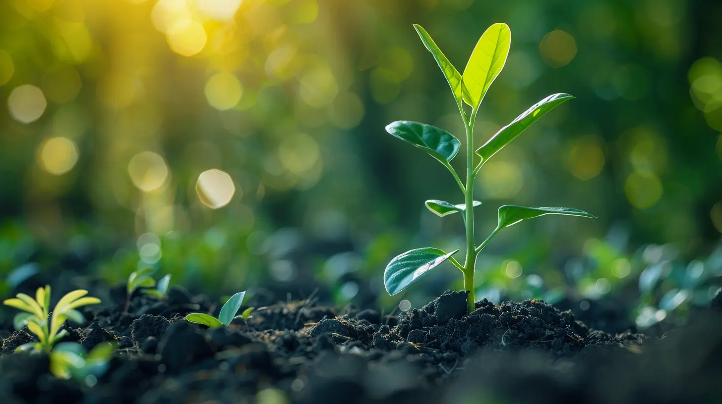 How Compound Interest Grows in Tax-Advantaged Accounts