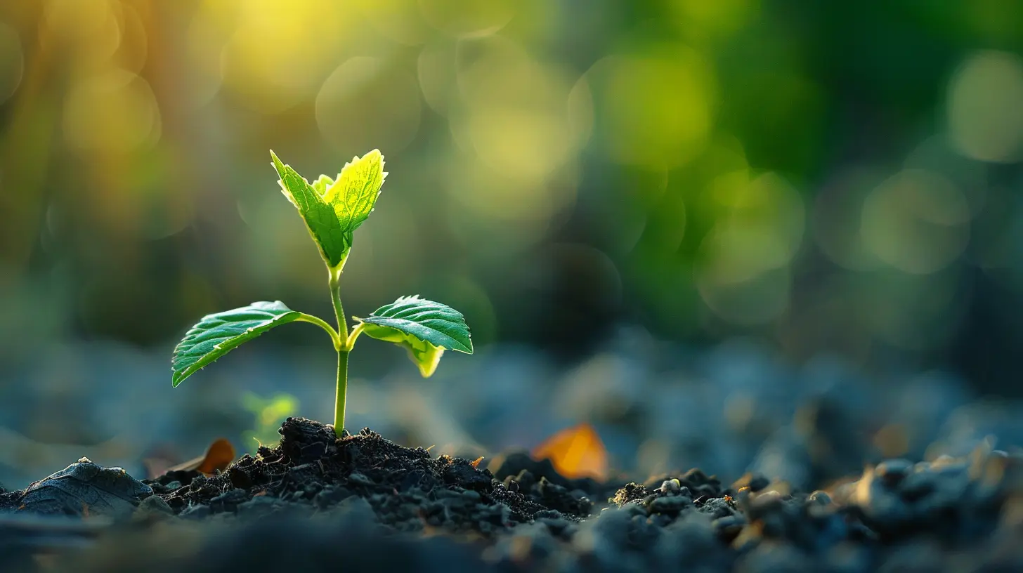 How to Harness Compound Interest for Your Emergency Fund