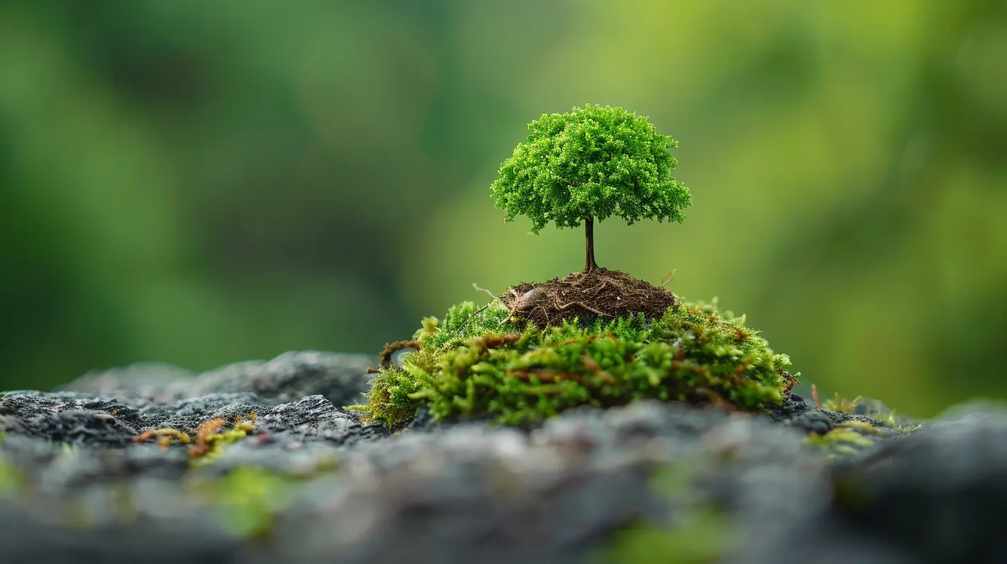 How to Rebalance Your Mutual Fund Portfolio for Optimal Performance