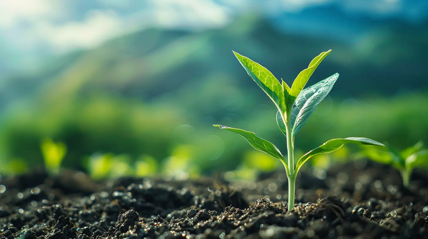 The Benefits of Starting a Roth IRA in Your 20s