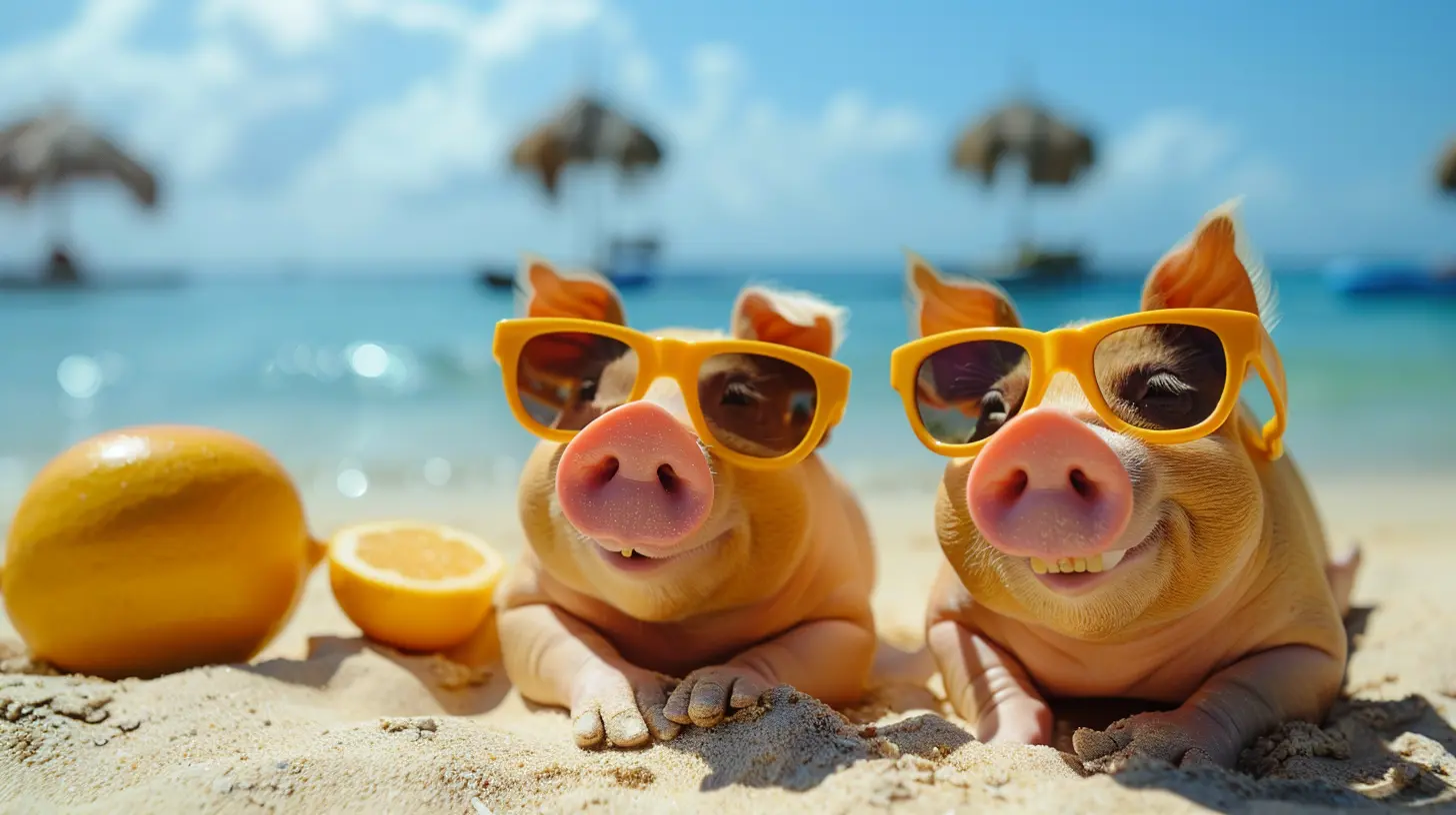 Understanding the Basics of Pension Plans: A Comprehensive Guide