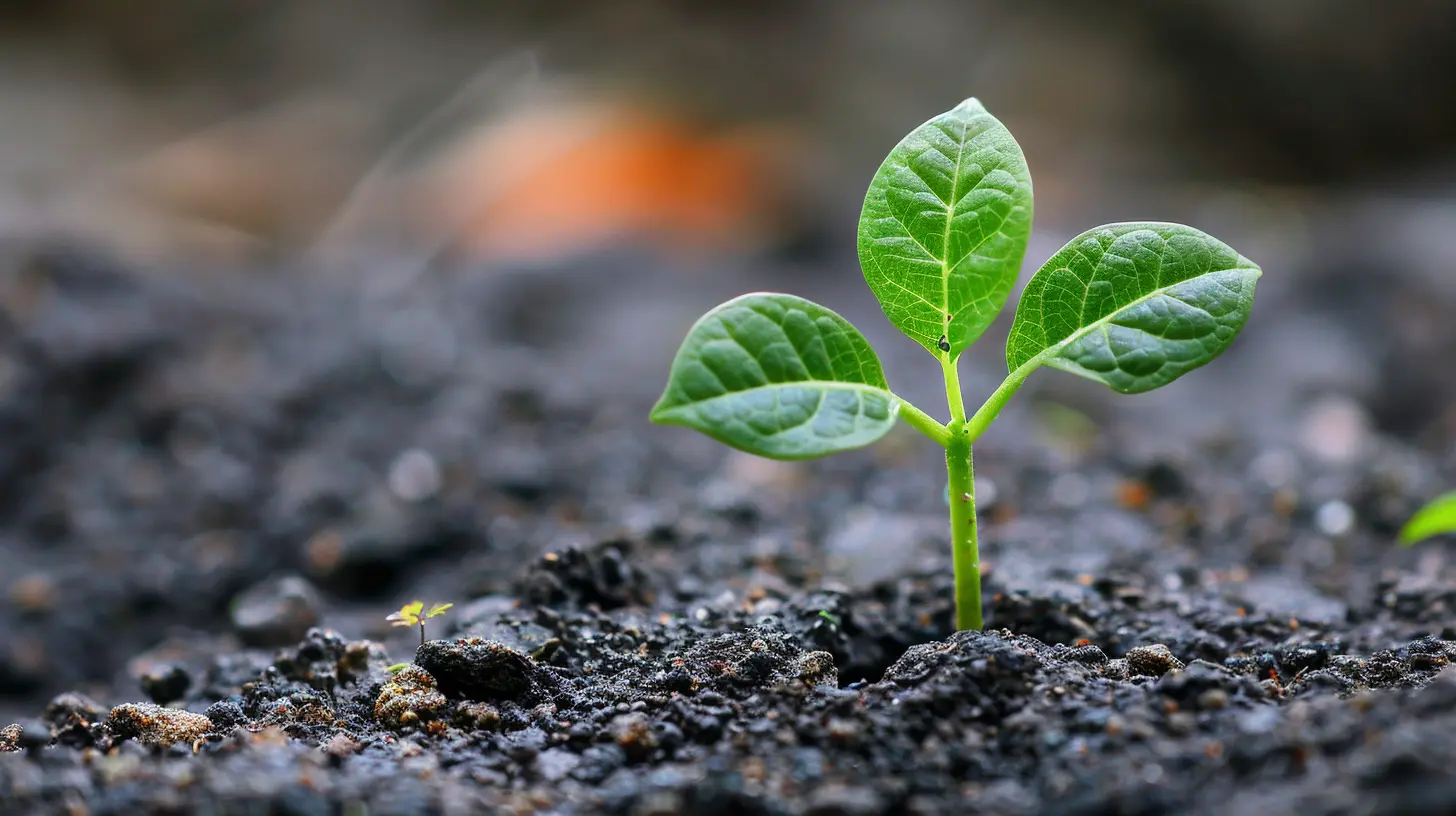 Value or Growth: How to Adjust Your Strategy in Changing Markets