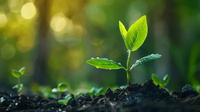 Focusing on Small-Cap Stocks for Big Growth Potential