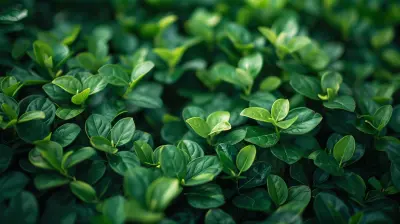 Hedging Your Portfolio with Options and Futures