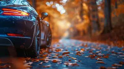 How Auto Investing Helps You Benefit from Compound Interest