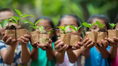 How to Create a Sustainable Charitable Giving Strategy