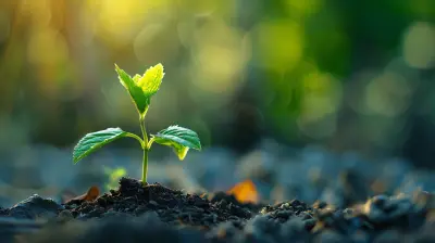 How to Harness Compound Interest for Your Emergency Fund