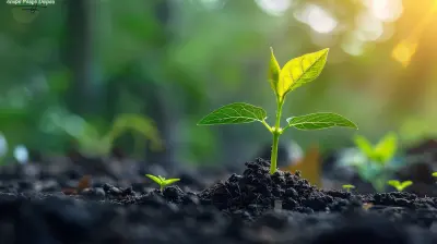 How to Set Up and Grow an Emergency Fund for Financial Peace