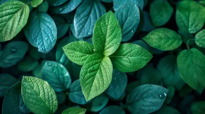 Securing Financial Stability Through Sustainable Living Practices