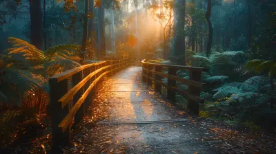 Step-by-Step Guide to Transferring Mutual Funds Easily