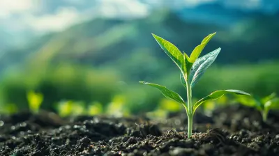 The Benefits of Starting a Roth IRA in Your 20s