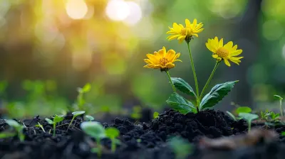 The Importance of Credit in Renting an Apartment