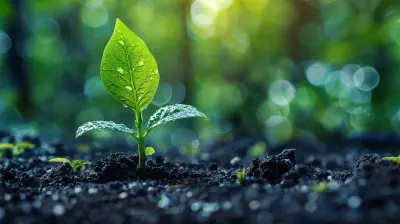 The Role of Mutual Funds in Estate Planning