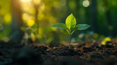 The Rule of 72: Understanding the Growth of Compound Interest