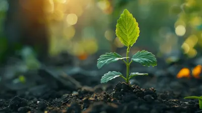 The Rule of 72: Understanding the Growth of Compound Interest