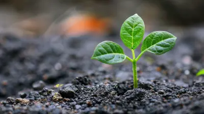 Value or Growth: How to Adjust Your Strategy in Changing Markets