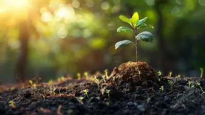 What is a Balanced Mutual Fund and Is It Right for You?