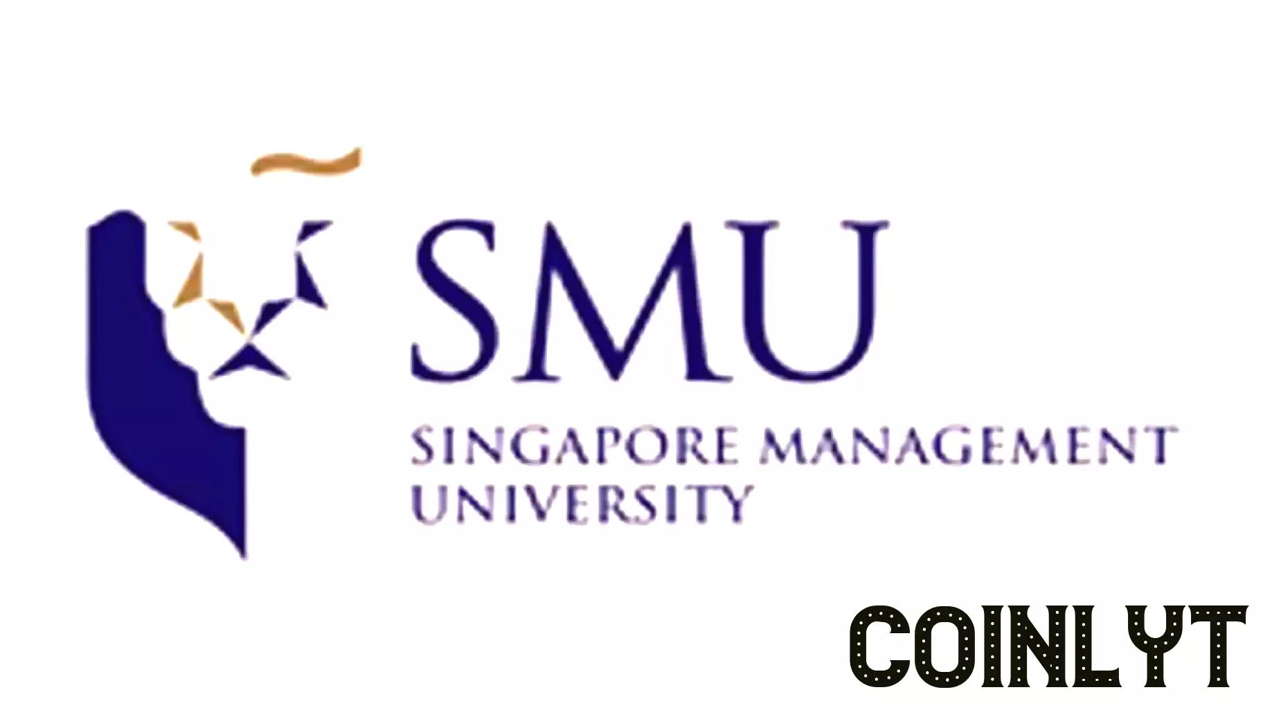 Accountancy School Adds Applied AI Track for Future Finance Professionals