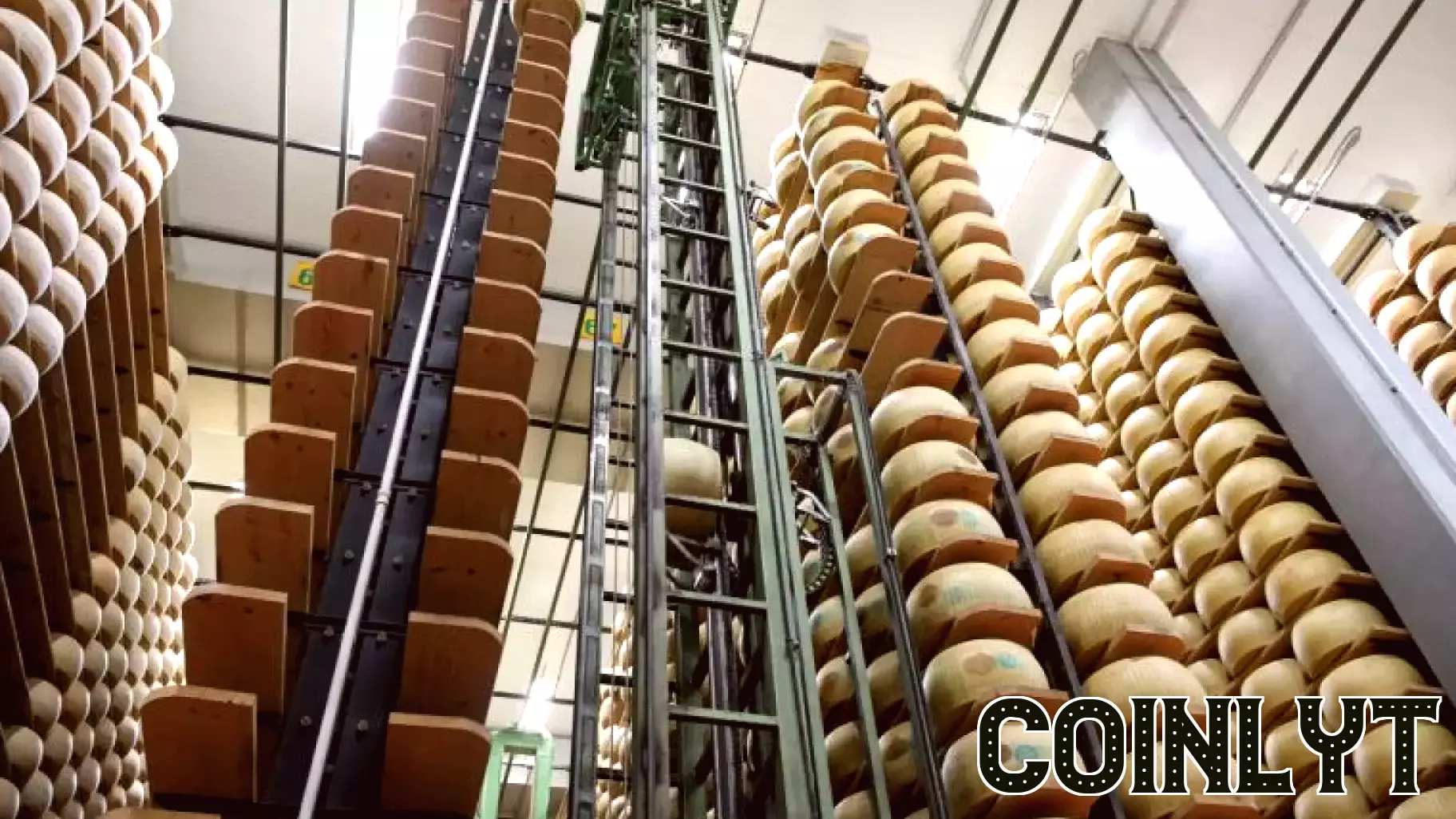 Inside Italy’s secret ‘Cheese Bank,’ where Parmigiano Reggiano becomes financial gold