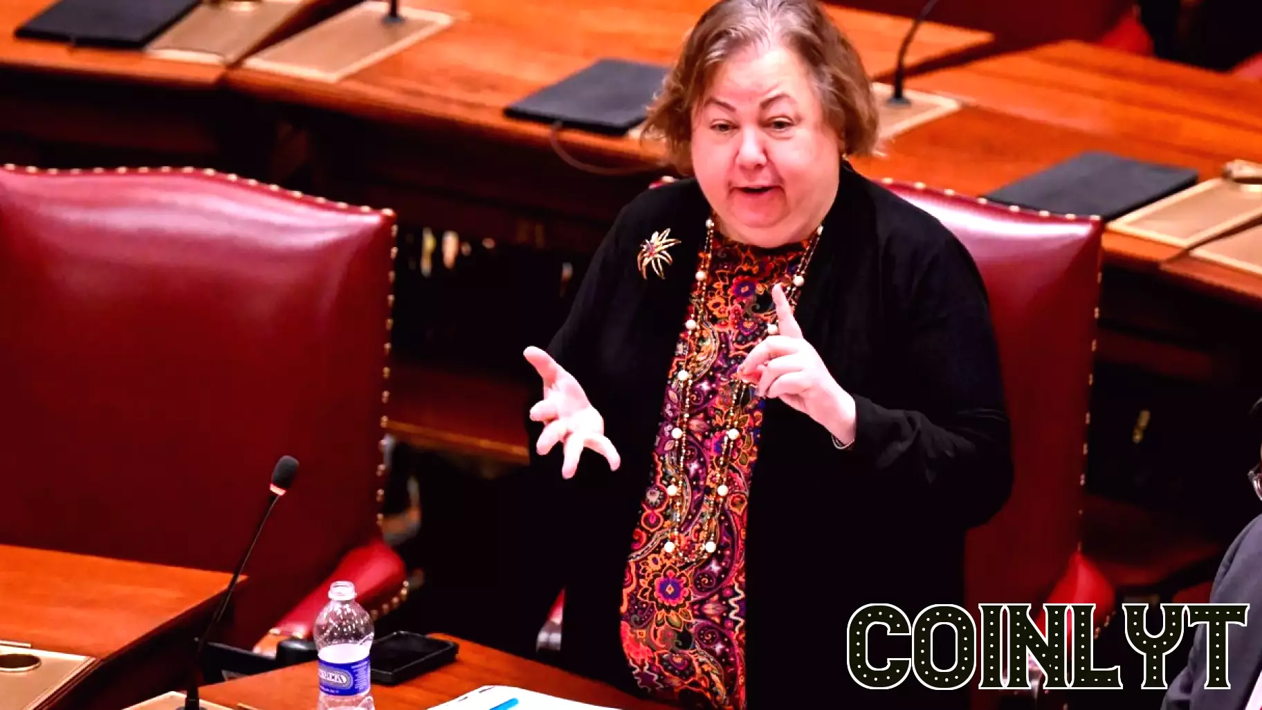 Senate Finance Chair Discusses One-House Budget Proposal