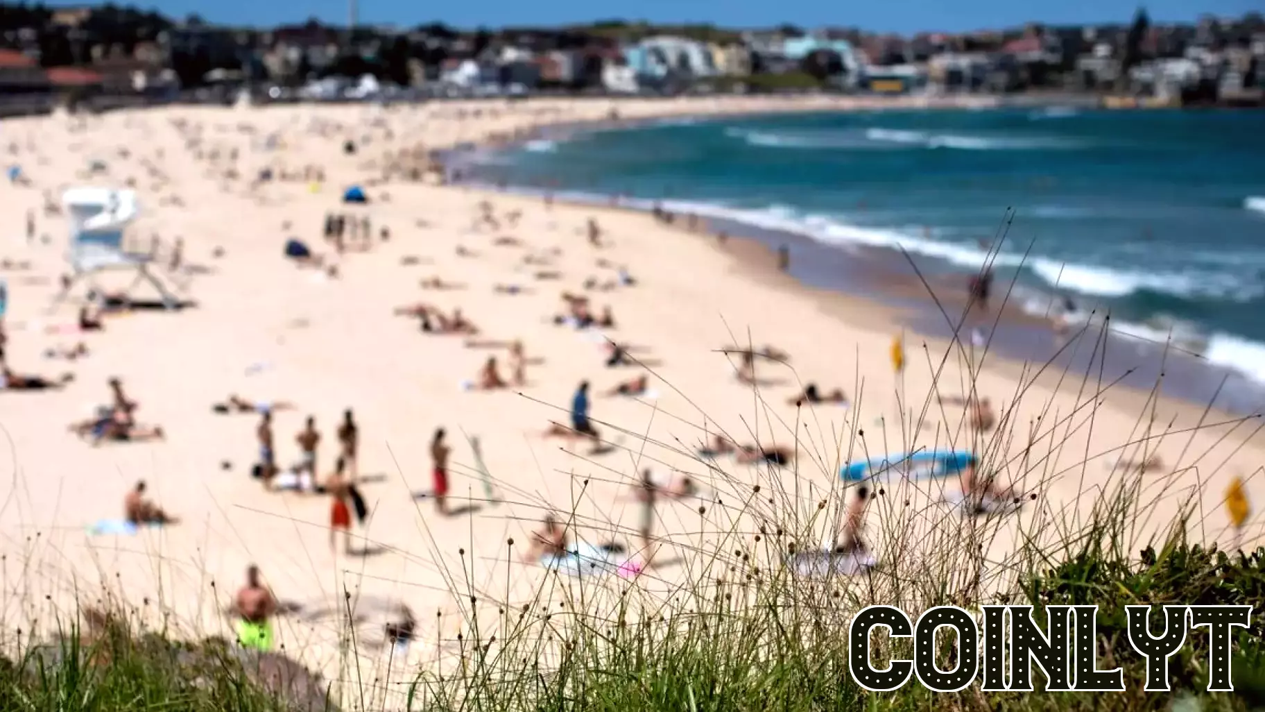 Top Picks for Your Summer Reading from Australia