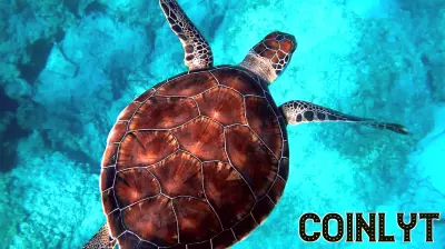 Cop16 Reaches Agreement to Support Biodiversity Financing