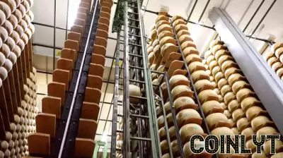 Inside Italy’s secret ‘Cheese Bank,’ where Parmigiano Reggiano becomes financial gold