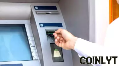 Is It Too Late To Consider Mizuho Financial Group (TSE:8411) After A 5x Gain?